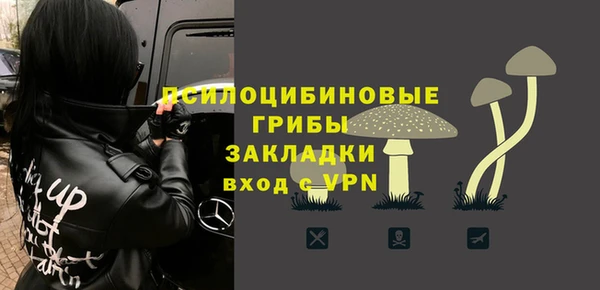 ECSTASY Кинешма