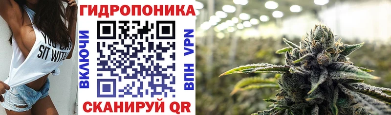 Канабис сатива  Купить закладки  Новосибирск 